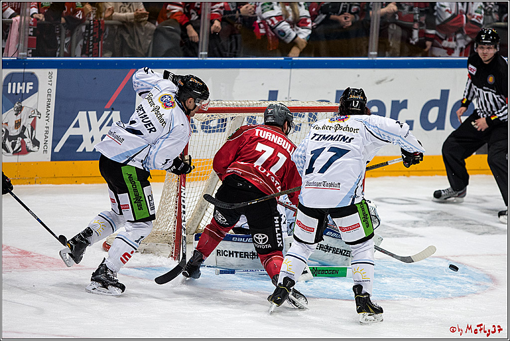 Koelner Haie - Straubing Tigers, 03.10.2016